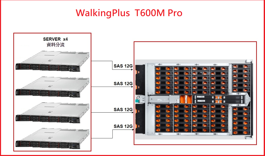 Walkingplus